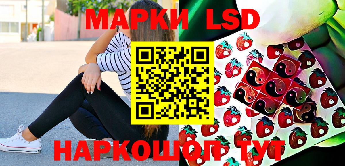 Гашиш Камышлов