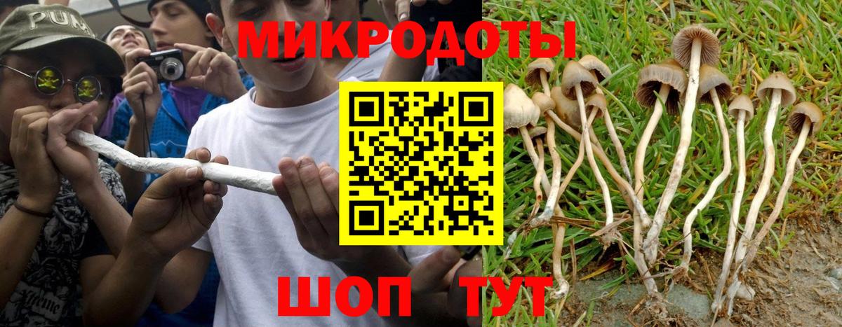 Камышлов  цены   Вход с VPN  Псилоцибиновые грибы GOLDEN TEACHER 