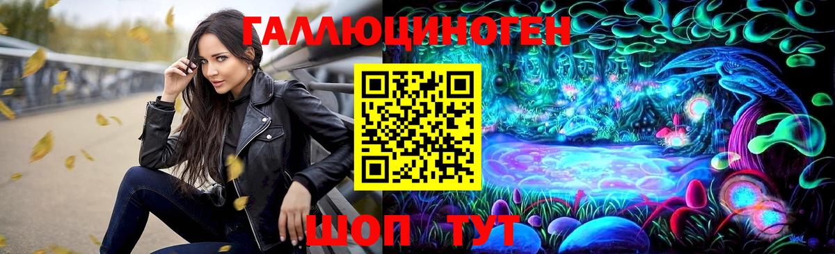 Галлюциногенные грибы Psilocybe Камышлов