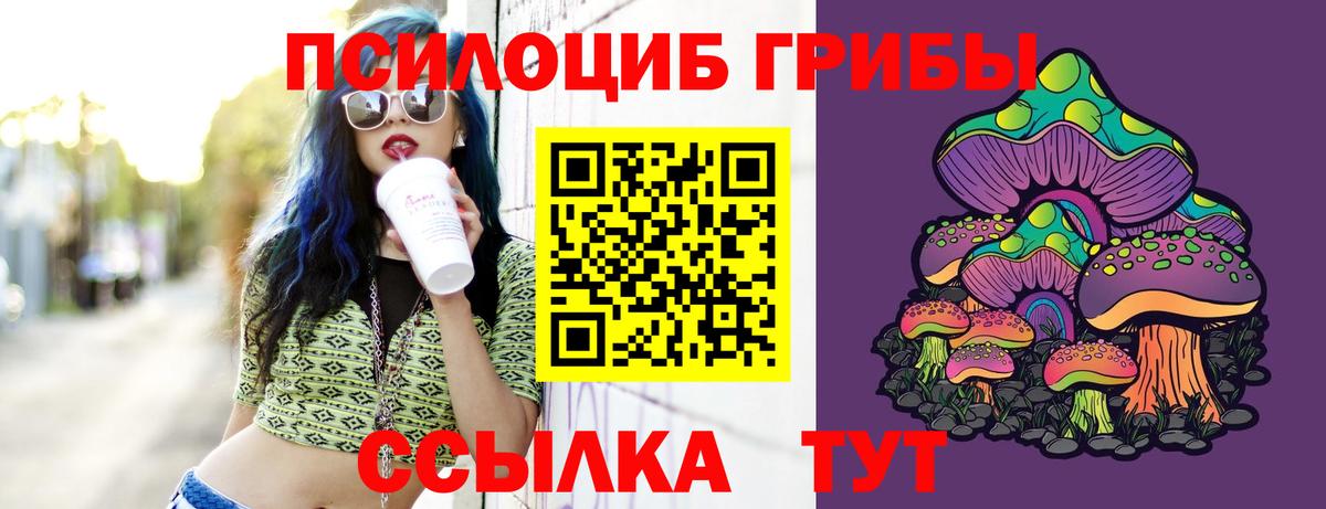 Кокаин  Марихуана  Камышлов  Меф МЯУ МЯУ   Вход с VPN 